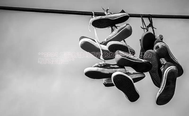 米兰官方手机app网站阿里尔公司**2024 年最新款时尚彩色女款板鞋：活力
与风格兼备**