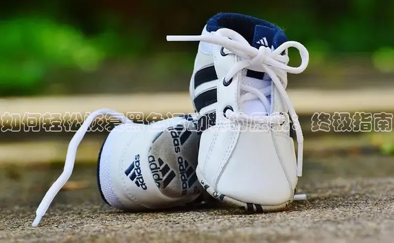 米兰app最新版本下载滴滴出行如何轻松恢复黑色运动鞋的原貌：终极指南