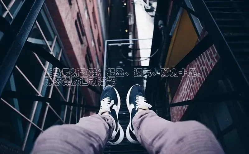 米兰网页版在线登录极氪智能科技彪马最新跑鞋：轻盈、透气、弹力十足，
助您释放运动潜能