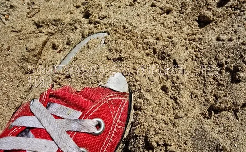 米兰·全站app登录app梯哥哥科技2024百搭软皮女鞋：舒适时尚，引领
潮流