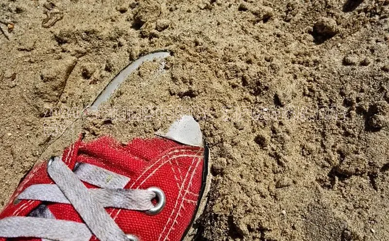 米兰体育彩票是正规的吗百度学术2024 年最潮网红男板鞋：满足您的街头风格
需求