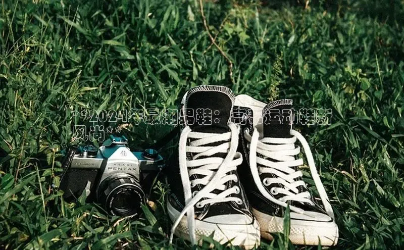 米兰官方手机app网站天键股份**2024年最潮男鞋：高帮运动鞋新
风尚**