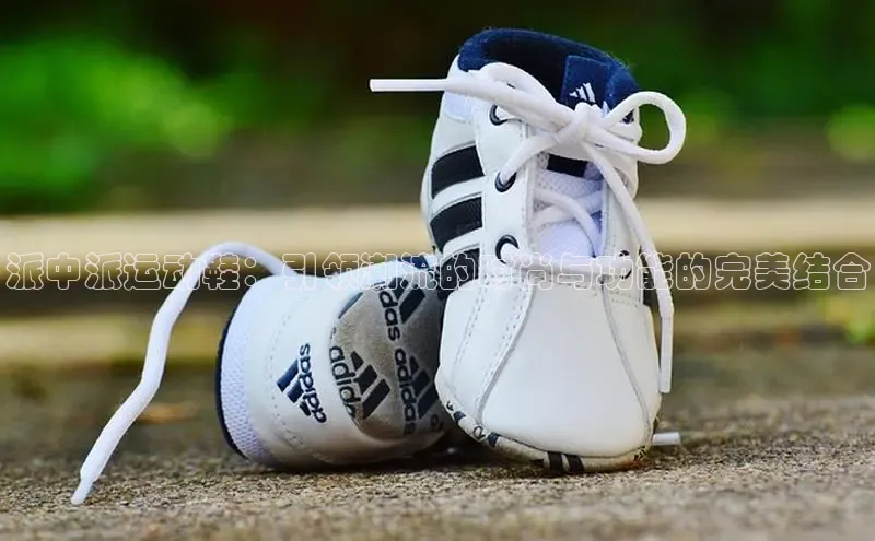 米兰app官网下载安装百度 H5派中派运动鞋：引领潮流的时尚与功能的完美结合