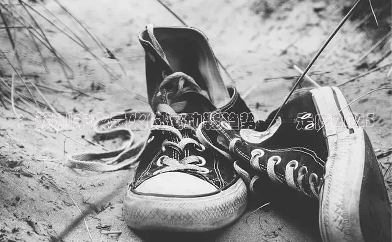 米兰app最新版本下载携程：预测未来最火的运动鞋趋势——走向2025