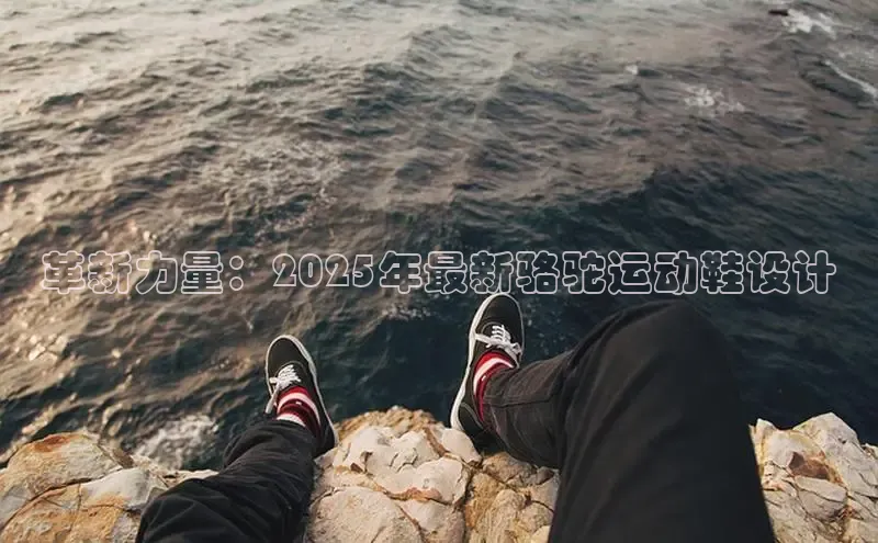 革新力量：2025年最新骆驼运动鞋设计