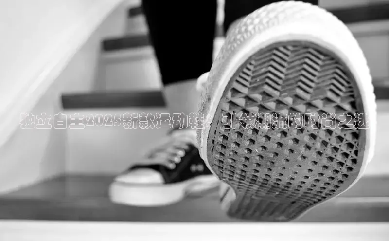 独立自主2025新款运动鞋：引领潮流的时尚之选