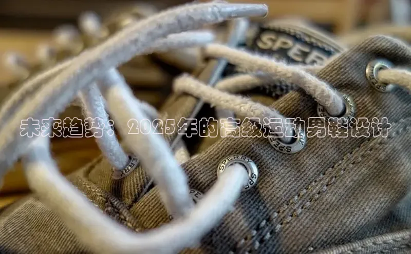 未来趋势：2025年的高级运动男鞋设计
