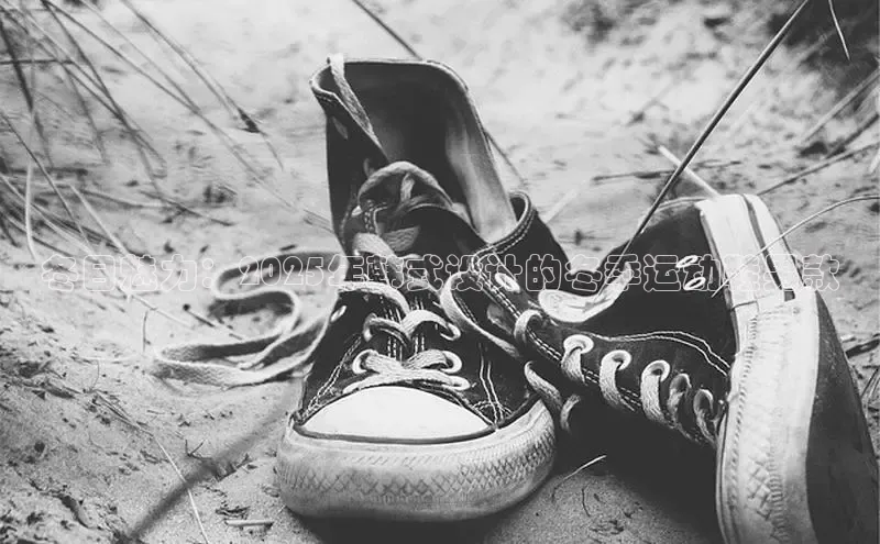 冬日魅力：2025年韩式设计的冬季运动鞋男款