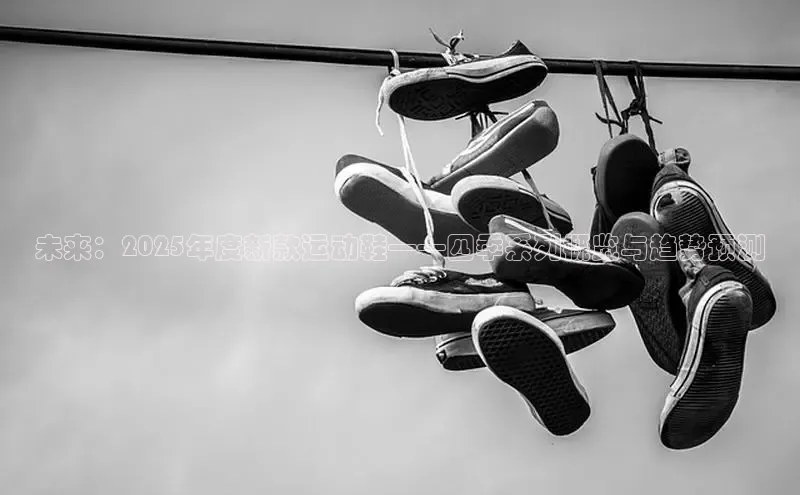 未来：2025年度新款运动鞋——四季系列概览与趋势预测