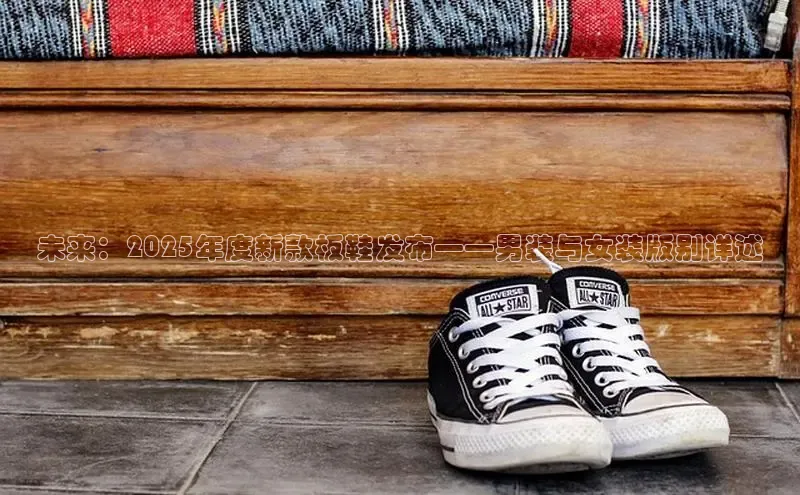 未来：2025年度新款板鞋发布——男装与女装版别详述